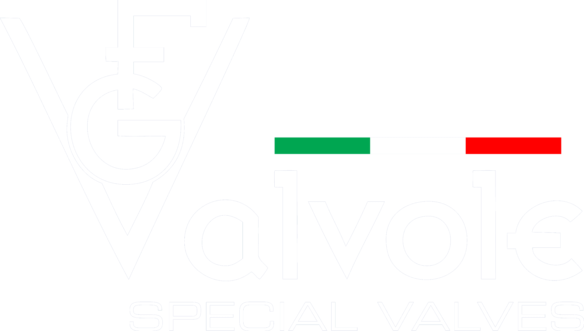 FG Valvole
